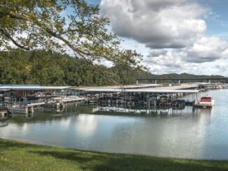 Bridge marina on norris lake with boats docked on cloudy day