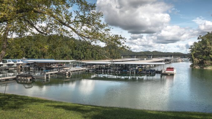 Bridge marina on norris lake with boats docked on cloudy day