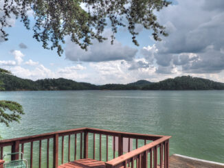 douglas lake private boat dock