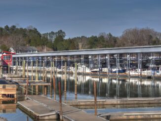 for loudoun lake marina