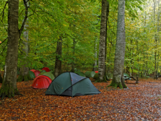 tents camping at norris lake tennessee