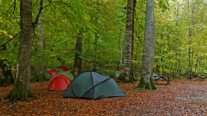 tents camping at norris lake tennessee