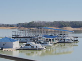 dougla lake marina