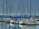 watts bar marina boat dock with sail boats