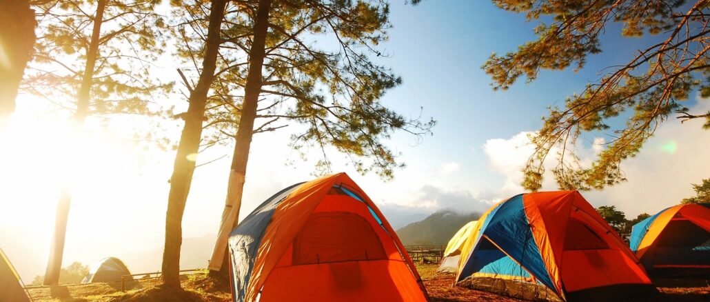 Camping at cherokee Lake campground near trees in colorful orange tent during an early sunrise.