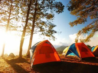 Camping at cherokee Lake campground near trees in colorful orange tent during an early sunrise.