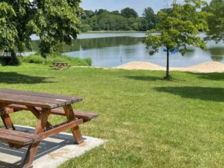 Norris lake water front park with picnic bench on sunny day