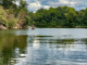 watts bar lake in tennessee