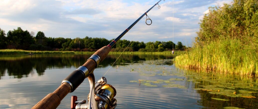 Fishing on douglas lake