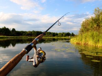 Fishing on douglas lake