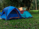 Camping at Melton Hill Lake Dam Campground